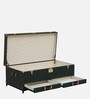 Chavez Leather Linen Trunk In Green Colour