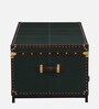 Chavez Leather Linen Trunk In Green Colour