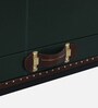 Chavez Leather Linen Trunk In Green Colour