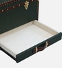 Chavez Leather Linen Trunk In Green Colour