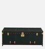 Chavez Leather Linen Trunk In Green Colour