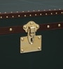 Chavez Leather Linen Trunk In Green Colour