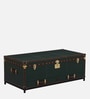Chavez Leather Linen Trunk In Green Colour