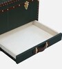 Chavez Leather Linen Trunk In Green Colour