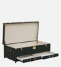 Chavez Leather Linen Trunk In Green Colour