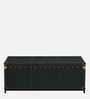 Chavez Leather Linen Trunk In Green Colour