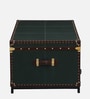 Chavez Leather Linen Trunk In Green Colour