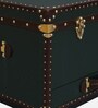 Chavez Leather Linen Trunk In Green Colour