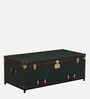Chavez Leather Linen Trunk In Green Colour