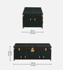 Chavez Leather Linen Trunk In Green Colour