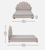 Cheerful Upholstered Queen Size Bed In White Colour