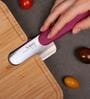 Chef Knife with Bamboo Handle (Purple)