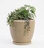 CHIA Beige 12 Inch German Polymer Round Plant Container With Saucer