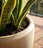 CHIA Beige 12 Inch German Polymer Round Plant Container With Saucer