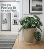 CHIA Beige 12 Inch German Polymer Round Plant Container With Saucer