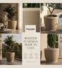 CHIA Beige 12 Inch German Polymer Round Plant Container With Saucer