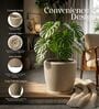 CHIA Beige 12 Inch German Polymer Round Plant Container With Saucer