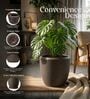 CHIA Choco Brown 12 Inch German Polymer Round Plant Container With Saucer