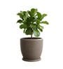 CHIA Choco Brown 12 Inch German Polymer Round Plant Container With Saucer
