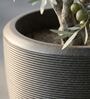 CHIA Grey 12 Inch German Polymer Round Plant Container With Saucer