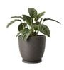 CHIA Grey 12 Inch German Polymer Round Plant Container With Saucer
