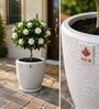 CHIA Marble White 12 Inch German Polymer Round Plant Container With Saucer