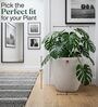 CHIA Marble White 12 Inch German Polymer Round Plant Container With Saucer