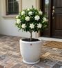 CHIA Marble White 12 Inch German Polymer Round Plant Container With Saucer