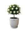 CHIA Marble White 12 Inch German Polymer Round Plant Container With Saucer