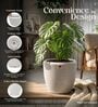 CHIA Marble White 12 Inch German Polymer Round Plant Container With Saucer