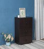 Chikako Cabinet in Walnut Finish