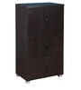 Chikako Cabinet in Walnut Finish