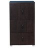 Chikako Cabinet in Walnut Finish