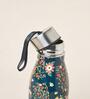 Chinar Steel Bottle, 750 ml | Kashmir Trails