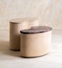 Chip And Dale Marble Top Coffee Table (Set Of 2) In White Wash Finish