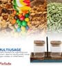 Chiraiya Square Glass Jars with Gond Art Wooden Lids and Tray