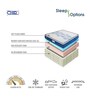 Chiro 6 inch Rebonded Foam Queen Size Mattress