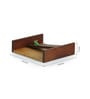 Chirping Love Brown Sheesham Wood Napkin Holder