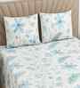 Chocolate Floral 120 TC Cotton King Sized Double Bedsheet with 2 Pillow Covers Glenn SS23 Collection
