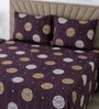 Chocolate Floral 400 Tc Cotton Super King Size Bedsheet With 2 Pillow Covers