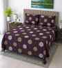 Chocolate Floral 400 Tc Cotton Super King Size Bedsheet With 2 Pillow Covers