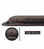 Chocolate Solid Polyester 36x24 Inches AntiSkid Bath Mat