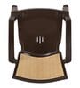 CHR2226 Plastic Chair in Season Rust Brown & Biscuit Colour, Set of 2