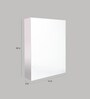 Stainless Steel Silver 3 Compartment Single Door Bathroom Cabinet With Mirror (L: 16, W: 5, H: 22 Inches)
