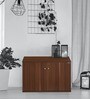 Churchill 2 Door Shoe Cabinet in Walnut Finish