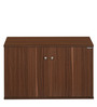 Churchill 2 Door Shoe Cabinet in Walnut Finish