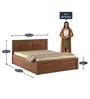 Ciara Queen Size Bed with Storage in Rigato Walnut Finish Storage