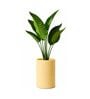CILIN TALL Beige 18 Inch German Polymer Round Plant Container