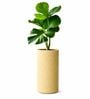 CILIN TALL Beige 24 Inch German Polymer Round Plant Container