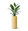 CILIN TALL Beige 30 Inch German Polymer Round Plant Container